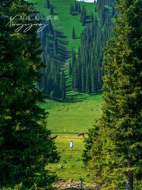 伊犁马上迎来了最美的季节🖼️