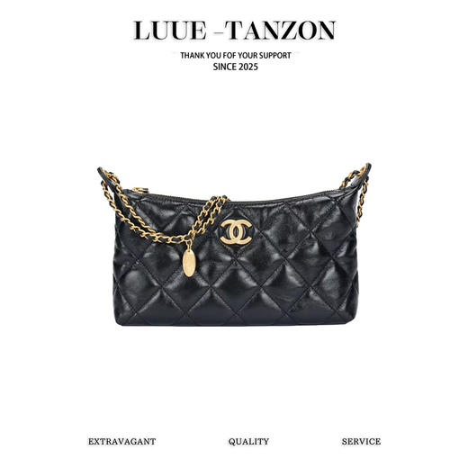 香奈儿 春夏 金币链条饺子包 黑色（LZ） 商品图0