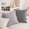 罗莱软装-经典罗莱双LL纹样抱枕 45*45 商品缩略图2