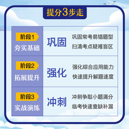 新高考数学 基础全练 商品图2