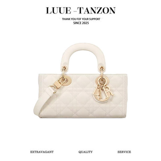 迪奥  lady 横版戴妃 大号（LZ） 商品图0