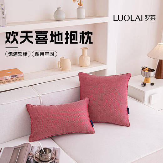 罗莱软装- 欢天喜地抱枕 45*45 商品图0