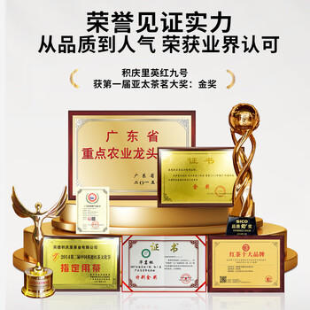 积庆里英红九号原产地大份量自饮口粮茶袋装英德红茶经典小条300g /水饮冲调 /茗茶 /红茶 商品图2