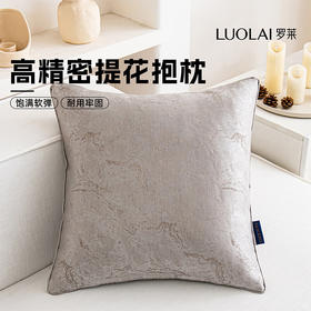 罗莱软装-兰亭抱枕 45*45