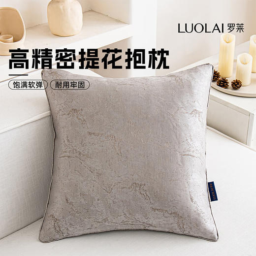 罗莱软装-兰亭抱枕 45*45 商品图0
