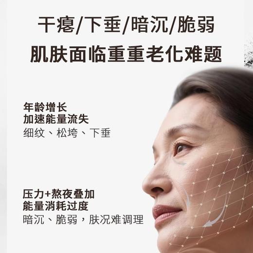 【570元会员福利】暖树·沉香抗皱紧致复原蜜45ml    商品图1