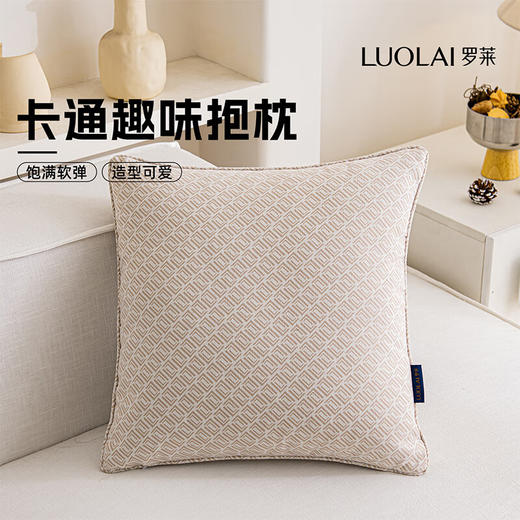 罗莱软装-经典罗莱双LL纹样抱枕 45*45 商品图0