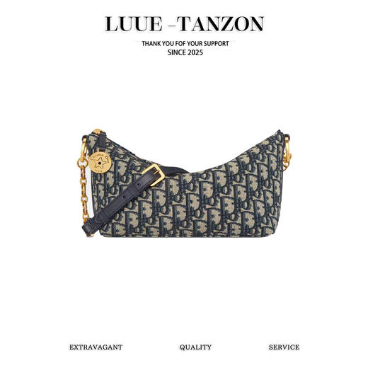 迪奥 Hobo star 链条手袋系列 饭盒包（LZ） 商品图0