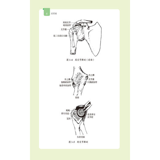 肩臂痛（疼痛预防与康复丛书）王宾 沈凌 主编 全面地介绍肩臂痛疾病的相关知识 配有视频 9787521453522 中国医药科技出版社 商品图4