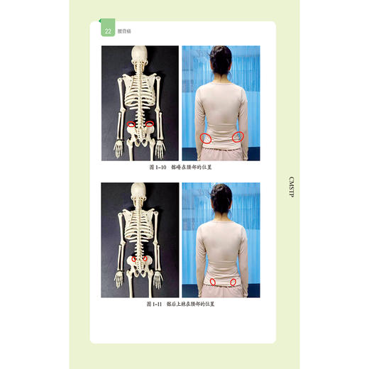 腰背痛（疼痛预防与康复丛书）国生 薛小娜 主编 全面地介绍腰背痛疾病的相关知识 配有视频 9787521453539中国医药科技出版社 商品图4
