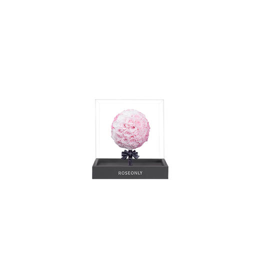 【告白神器】ROSEONLY诺誓 高端定制永生玫瑰公仔系列 mini 玫瑰葫芦 玫瑰锦鲤 玫瑰棒棒糖 玫瑰月亮  送女友 送家人 商品图6
