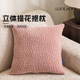 罗莱软装-摩登艺术抱枕 44*44