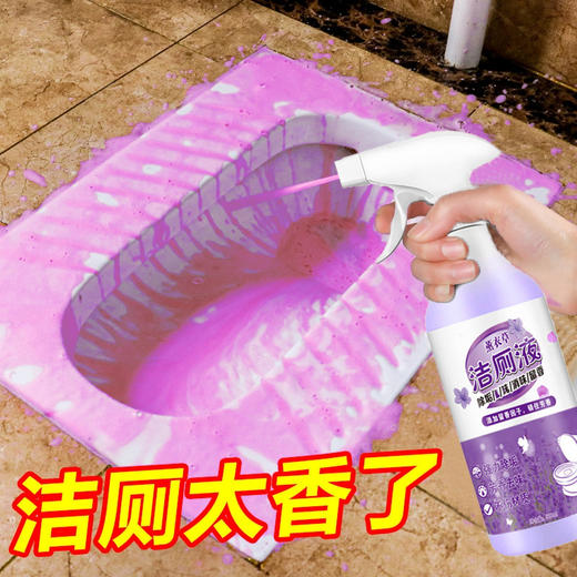 【9.9到手❗️薰衣草花香洁厕灵】瓦解顽固污渍，清除异臭，持久清新！厕所马桶瓷砖清洁剂强力除臭除尿垢清香型卫生间洁厕液 商品图0