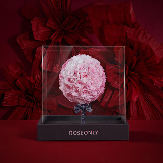 【告白神器】ROSEONLY诺誓 高端定制永生玫瑰公仔系列 mini 玫瑰葫芦 玫瑰锦鲤 玫瑰棒棒糖 玫瑰月亮  送女友 送家人 商品图1