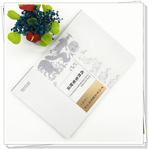 药性集要便读(清) 岳昶 撰 中国古医籍整理丛书:续编 中国中医药出版社 商品图1