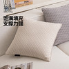 罗莱软装-经典罗莱双LL纹样抱枕 45*45 商品缩略图5