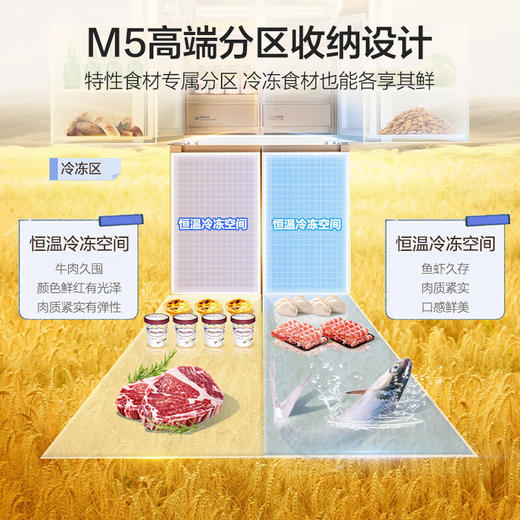 海尔（Haier）冰箱 BCD-507WGHTD1BWLU1 商品图5