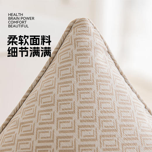 罗莱软装-经典罗莱双LL纹样抱枕 45*45 商品图4
