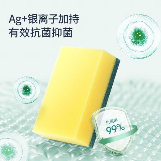 美丽雅炫彩海绵百洁布(8片入) 商品图2