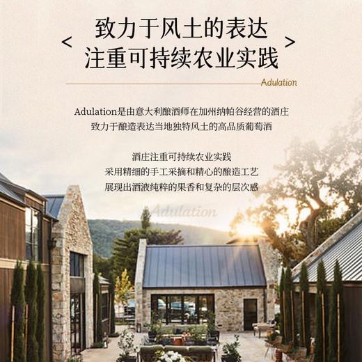 【晚安微醺】美国原瓶进口 艾赞霞多丽白葡萄酒    14.5%vol 商品图9