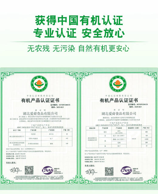 正宗洪湖有机纯藕粉 净素原味 营养早餐代餐 商品图3