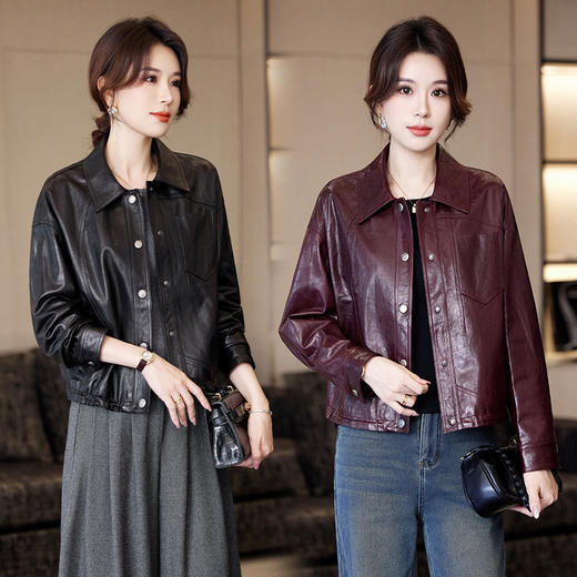 TC 23529真皮皮衣气质绵羊皮夹克外套短款 商品图0