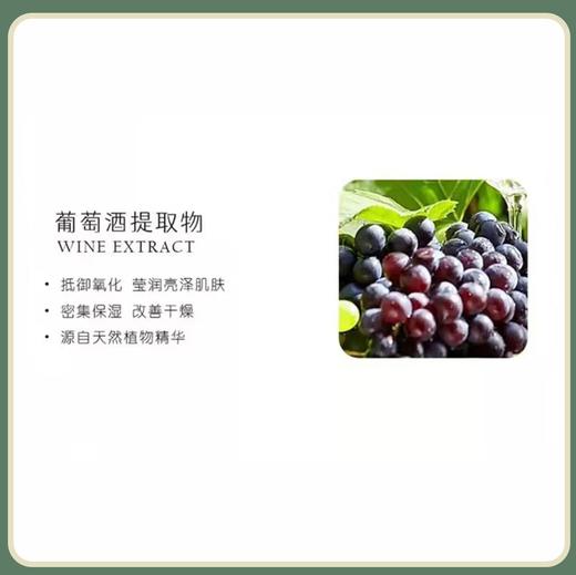 中粮德兰 玫瑰胶原柔肤乳100ml 商品图1