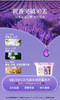 【XYY】SukGarden蔬果园贝蒂蓝薰衣草精油香氛4D洗衣凝珠SGY0372   10g*18颗 商品缩略图4