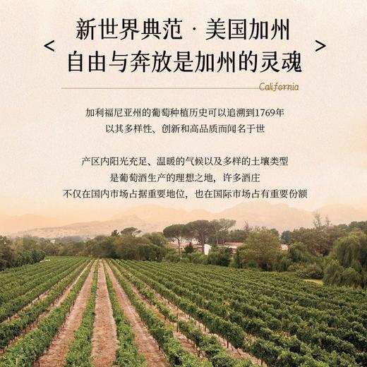 【晚安微醺】美国原瓶进口 艾赞霞多丽白葡萄酒    14.5%vol 商品图7