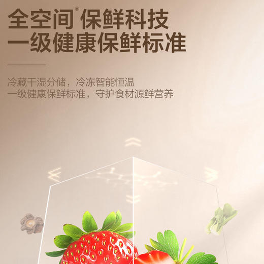 海尔（Haier）冰箱 BCD-507WGHTD1BWLU1 商品图11