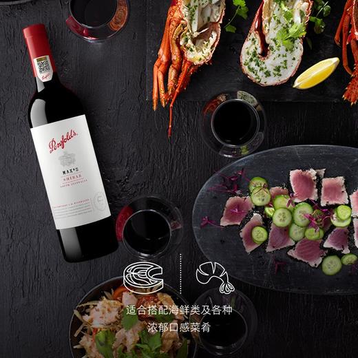 中粮奔富BIN389麦克斯双支套装（内配BIN389*1瓶、麦克斯*1瓶） 商品图4