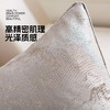 罗莱软装-兰亭抱枕 45*45 商品缩略图4
