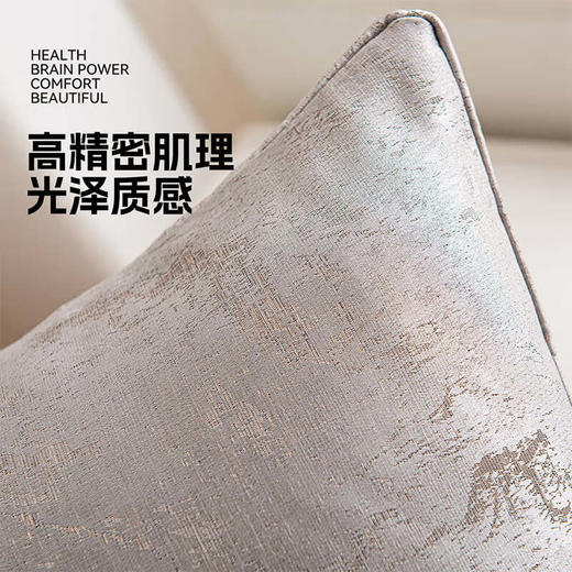 罗莱软装-兰亭抱枕 45*45 商品图4