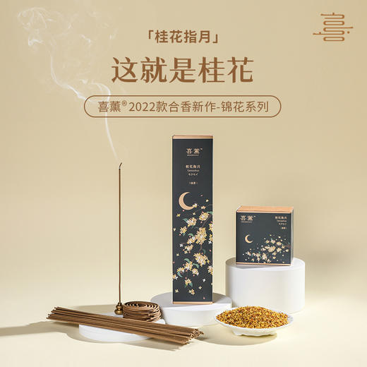 喜薰正装桂花指月天然线香檀香沉香薰香室内持久香熏卧香盘香持久 商品图0
