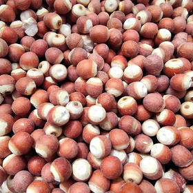 『洪湖大颗粒芡实』饱满清甜，吃法百搭，又名鸡头米，享“水中人参”之美誉