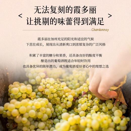 【晚安微醺】美国原瓶进口 艾赞霞多丽白葡萄酒    14.5%vol 商品图8