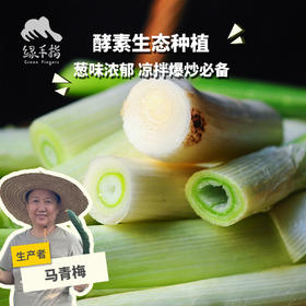 生态大葱（赠送艾草皂一块） | 合作生产*Ecological Scallion | Partner Production