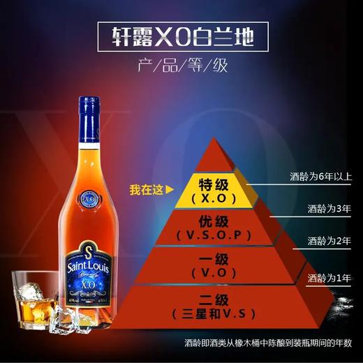 中粮轩露XO白兰地700ml 商品图1