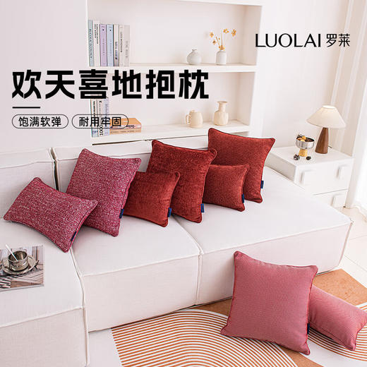 罗莱软装- 欢天喜地抱枕 45*45 商品图1