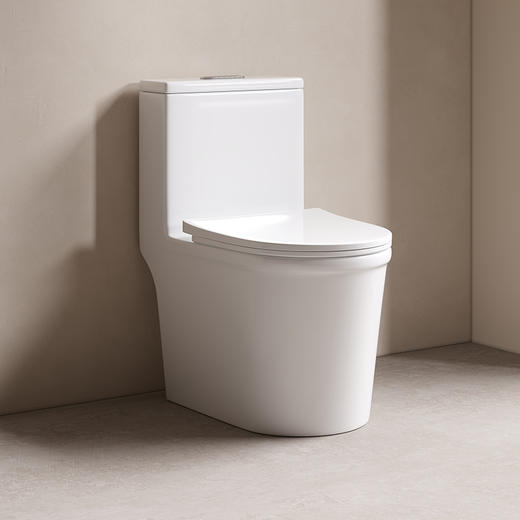 帝王现代简约小尺寸陶瓷马桶TT047 商品图1