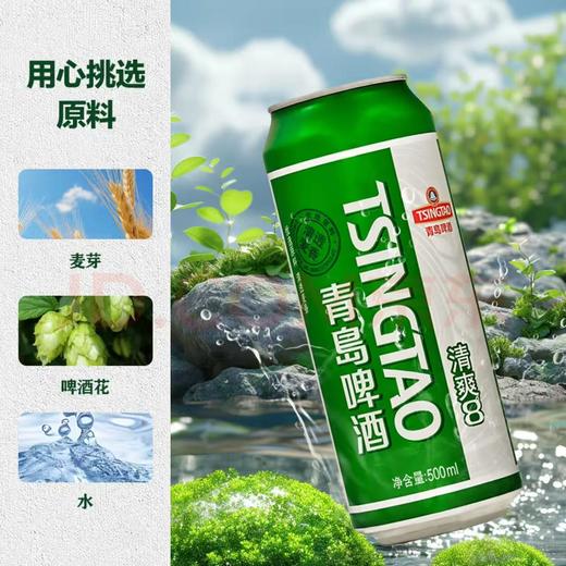 【青岛啤酒】清爽°P啤酒 500ml*12罐/箱 【BN】 商品图1
