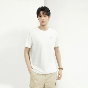 佐丹奴25年新款男装针织T恤01025262