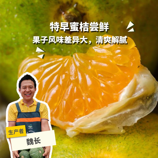 生态早蜜橘 | 合作生产*Ecological honey orange | Partner Production 商品图0