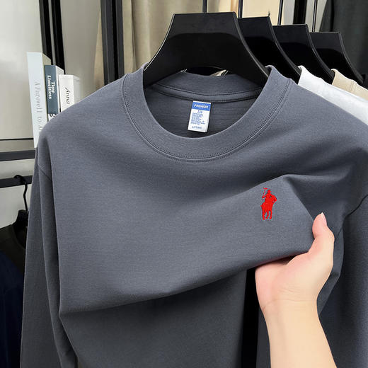 2025秋季新款休闲时尚刺绣打底衫长袖男T恤纯棉280克圆领男士卫衣 商品图1