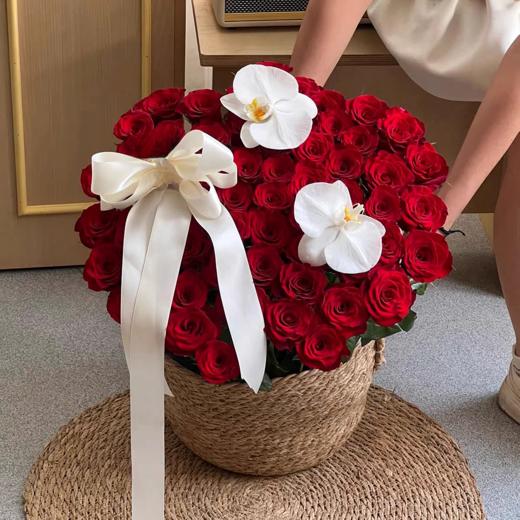 好想抱抱你---66支99支玫瑰蝴蝶兰抱抱篮四选一 商品图3