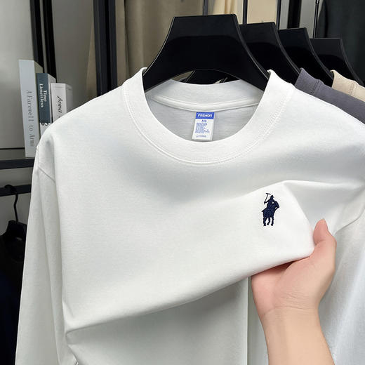 2025秋季新款休闲时尚刺绣打底衫长袖男T恤纯棉280克圆领男士卫衣 商品图2