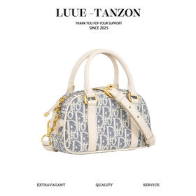 迪奥 Vibe East West 手袋 酒椰草手提包单肩包（LZ）