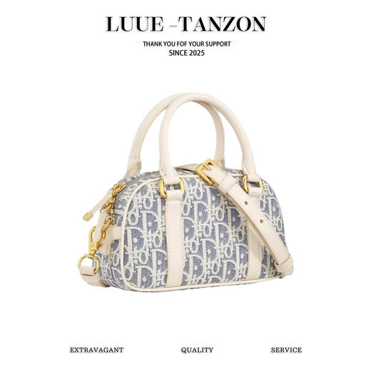 迪奥 Vibe East West 手袋 酒椰草手提包单肩包（LZ） 商品图0