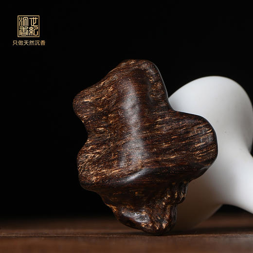 天然惠安沉香 沉水级 13.5克 SP11956 商品图0