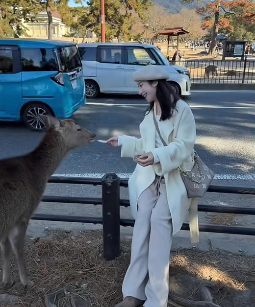驴家 Boulogne 牛角包&大象灰链条包（ZL*MM） 商品图4